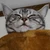 うりぼう