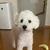 Jackson
