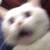 たると