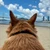 riu.hxw1004