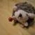 うねこ