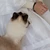 り