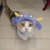 ゆきね