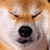 にゃお