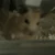 よろこび