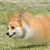 たぐち