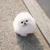 もなちゃむ