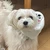 すず