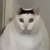 しる