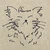 きっと猫