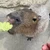 まる