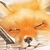 エーガミール