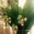 flowercatart