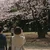 小さじ3分の2