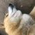 えり