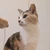 さよこ