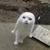 いのっち