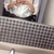 Rion