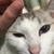 ハ