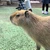 なおき