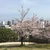Naonori