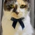 うしべこ