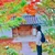 江口聡子