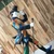 triduck