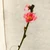ぬっこ