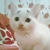 むろぐぁぁ