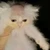 にゃこ