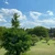 Kotaroeiga123