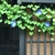 あずま
