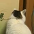 ぞぞむ