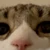 ゆい