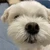 ふう