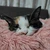ちゃんミー