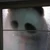 んも