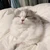 ぬぬ