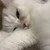 マリ