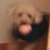 えびのおすし