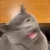 ねね