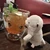 ぬーすけ