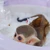 すけちん