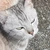 ばばんばばん