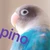 シマ