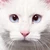 あやぞう