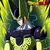 perfect_cell
