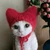 こんこん