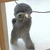 そふぃこ